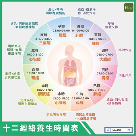 十二經絡養生時間表|永遠不退流行的12時辰經絡養生法！